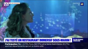 J'ai testé un restaurant immersif sous-marin !