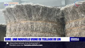 Eure: une nouvelle usine de teillage de lin à Saussay-la-Campagne