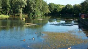 Un lac situé au Mans