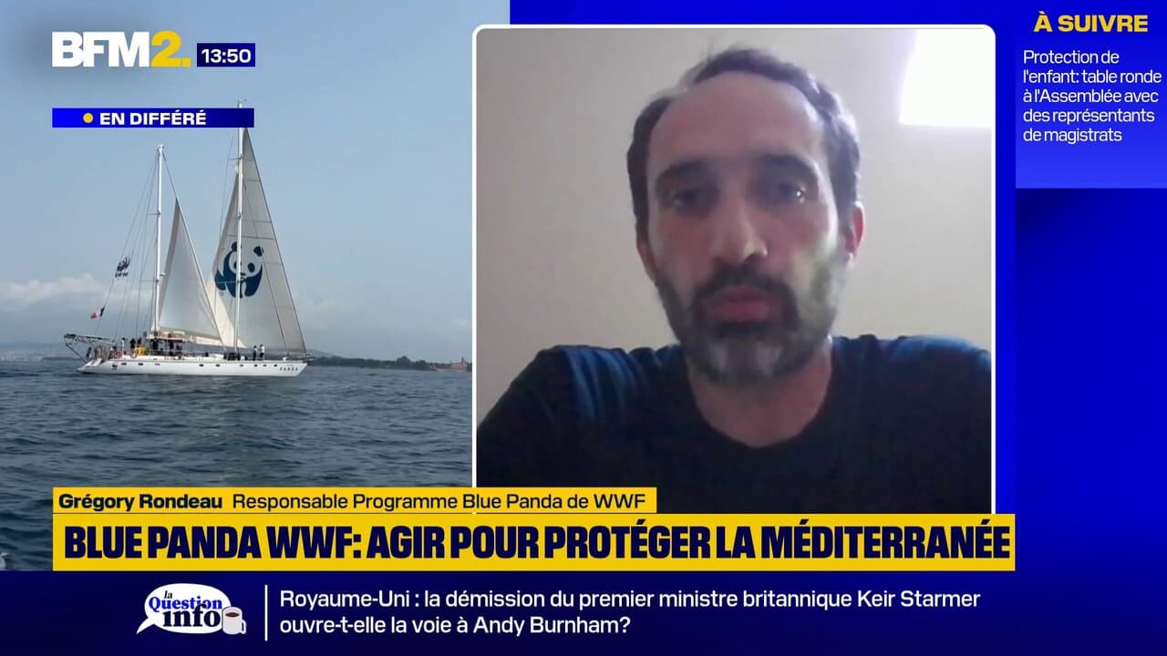 İklim Değişikliği ve Sıcak Dalgaları: Akdeniz'deki Türler ve Ekosistemler Üzerindeki Etkileri