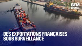  Des exportations françaises sous surveillance  