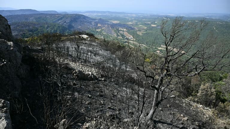 INCENDIES DANS L’AUDE: DES COLLECTIVITÉS VEULENT FAIRE RECONNAÎTRE LES INCENDIES COMME ALÉAS CLIMATIQUES