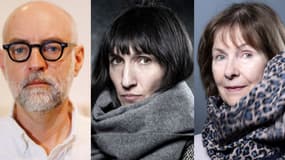 Les auteurs de BD Daniel Clowes, Catherine Meurisse et Posy Simmonds, finalistes du Grand Prix du festival d'Angoulême 2024