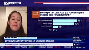 Décryptage: Environnement/Entreprise, la vision des salariés - 05/11