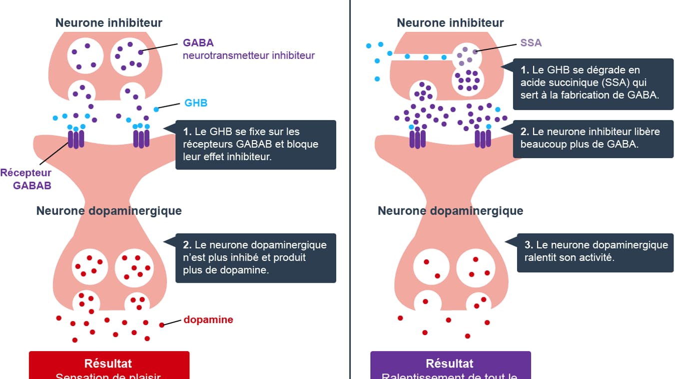 infographie GHB