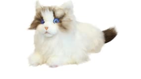 Les chats robotiques MetaCats.