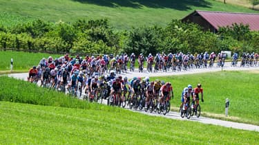 Le peloton du Tour de Suisse