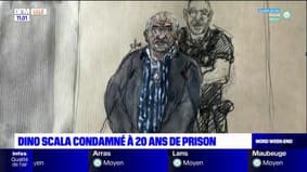 Dino Scala, le "violeur de la Sambre", condamné à 20 ans de prison