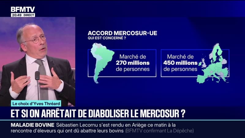 LE CHOIX D’YVES THRÉARD -  Et si on arrêtait de diaboliser l’accord UE-Mercosur
