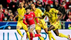 Rafa face à Konaté et Van Dijk lors de Benfica-Liverpool, le 5 avril 2022