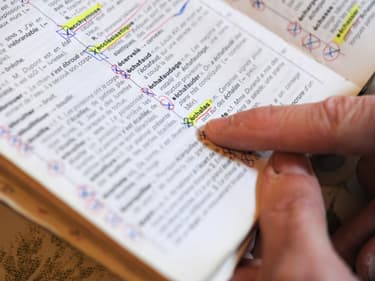 (Photo d'illustration) Un dictionnaire français.