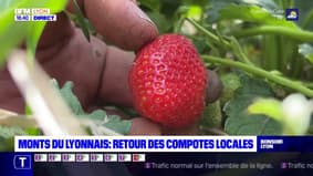 Monts du Lyonnais : retour des compotes locales