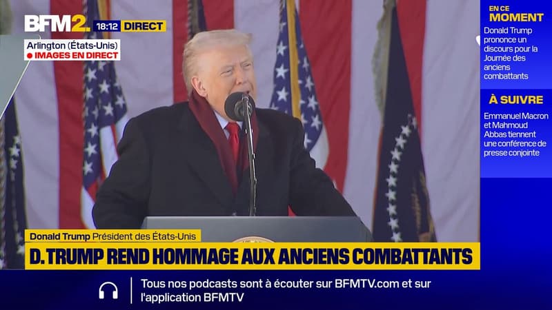 Armistice du 11-Novembre 1918: "J'ai vu que la France célébrait le Jour de la Victoire, mais pas nous. C'est nous qui avons gagné les guerres", dit Donald Trump
