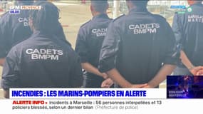 Marseille: un nouveau dispositif de lutte contre les feux de forêt pour les marins-pompiers