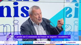 Petite rectification, 90% de la volaille consommée par les ménages est française." Légasse