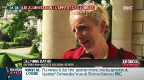 La "Loi alimentation" sous l'influence des lobbies? Des députés dénoncent sur RMC