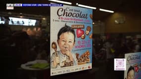 Voyons Voir : Une terre de chocolat