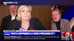 Faut-il supprimer la peine d'inéligibilité ? - 14/11