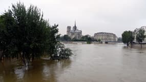 Les berges de Seine inondées, à Paris, le 2 juin 2016.