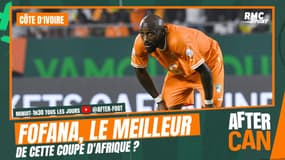 CAN 2023 : "Fofana était le seul à tenter des choses" avec la Côte d'Ivoire, selon Tiercin