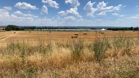 250 caravanes se sont installées sur un terrain d'agriculteurs à Manosque, le samedi 28 juin. 