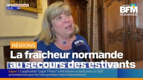 Quand l’Histoire devient un refuge : le château de Martainville, havre de fraîcheur et de culture