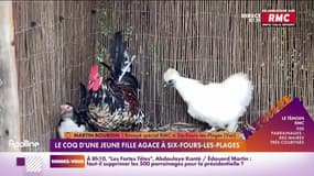 A Six-Four-les-Plages, Pablo mène la vie dur aux habitants