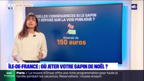 Île-de-France: où jeter votre sapin de Noël?