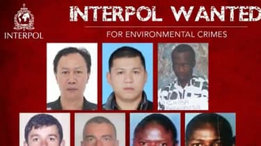 L'appel d'Interpol.