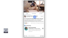 Facebook lance Watch, sa plateforme de vidéos originales