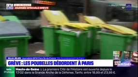 Paris: avec la grève des éboueurs, les déchets s'accumulent à Paris