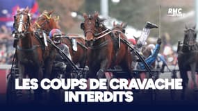 Hippisme : les coups de cravache seront désormais interdits dans les courses de trot