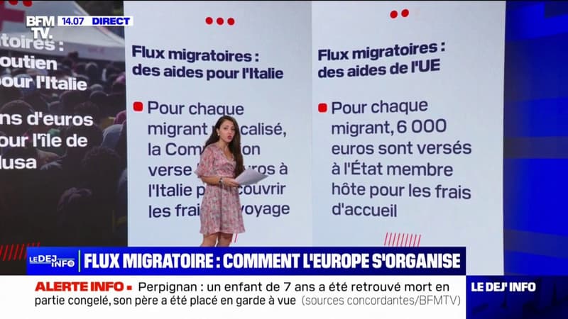 LES ÉCLAIREURS - Flux migratoires: quelles sont les aides européennes versées aux pays d'accueil?