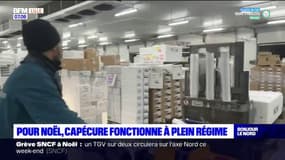 Boulogne-sur-Mer: pour Noël, Capécure fonctionne à plein régime