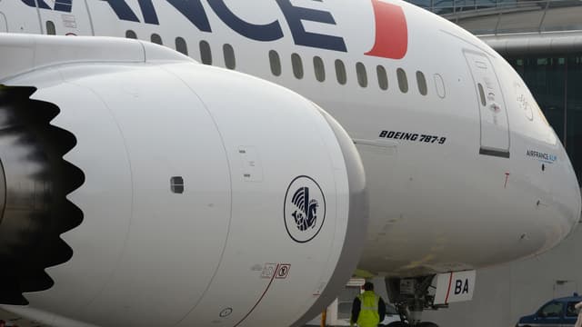 L'unique vol Paris-Cayenne ne sera pas assuré par Air France mardi. 