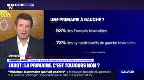 Yannick Jadot: "Evidemment, Anne Hidalgo pourrait être (ma) Première ministre"