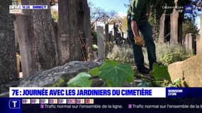 Lyon 7 : journée avec les jardiniers du cimetière