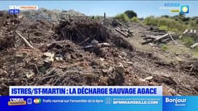 Istres/St-Martin : la décharge sauvage agace 