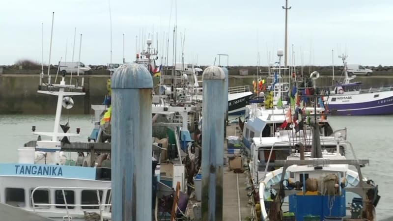 Carburant: "Il y aura des pénuries sur les étals et il faudra se tourner vers l'étranger", alerte la filière pêche