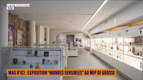 Mag d'ici : exposition "Mondes Sensibles" au MIP de Grasse