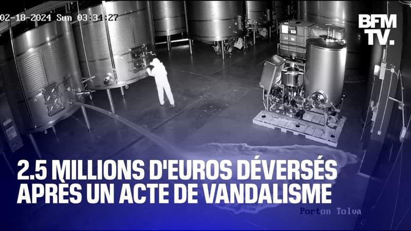 2.5 millions d'euros déversés après un acte de vandalisme dans une cave en Espagne