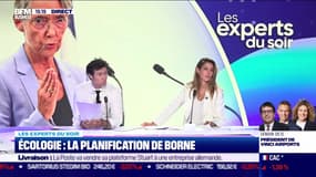 Écologie : la planification de Borne - 18/09