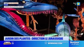 Paris: un parcours sur le Jurassique au Jardin des plantes