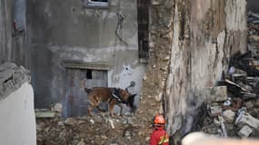 Un pompier recherche avec son chien des survivants dans les décombres d'un immeuble d'habitation, le 10 avril 2023 à Marseille