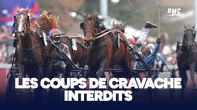 Hippisme : les coups de cravache seront désormais interdits dans les courses de trot