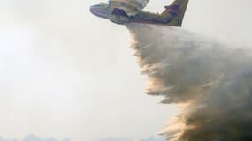 Un Canadair lutte contre un feu de forêt à Landiras (Gironde), le 13 juillet 2022