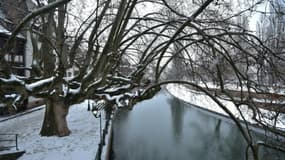 Un arbre recouvert de neige à Strasbourg, le 10 janvier 2017