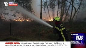 Incendie dans le Maine-et-Loire: plus de 1200 hectares ont été brûlés entre Angers et Le Mans