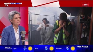 Activistes écologistes à l'assemblée générale de Total: "On aurait pu les laisser occuper et déplacer cette assemblée générale", affirme Sandrine Rousseau