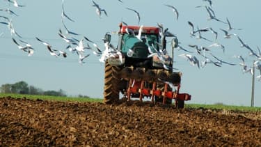 Selon le ministère de l'Agriculture, le revenu moyen avant impôt d'un exploitant agricole est de 45 000 euros/an.